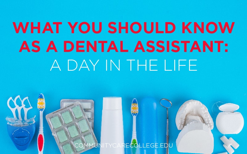 What You Should Know as a Dental Assistant