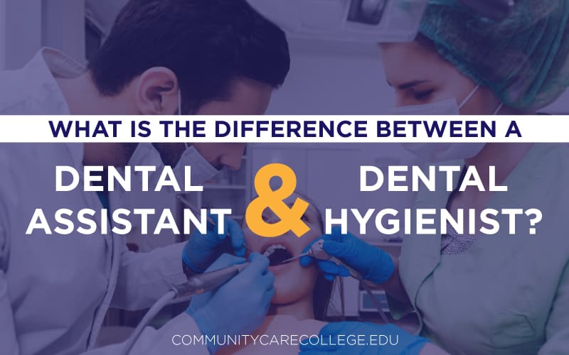What is the difference between a dental assistant & dental hygienist?