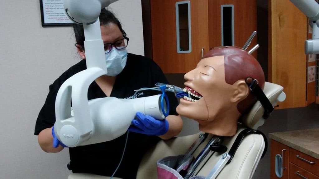 A dental student is practicing xray images on a dummys teeth