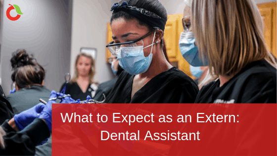 Dental Assisting Externship students